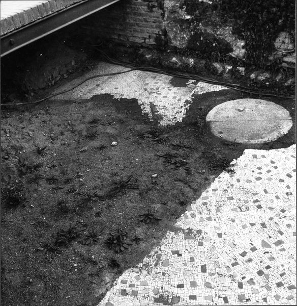 012550 - monumento - Casa delle Vestali, Atrio, mosaico repubblicano sul lato nord (novembre '70)