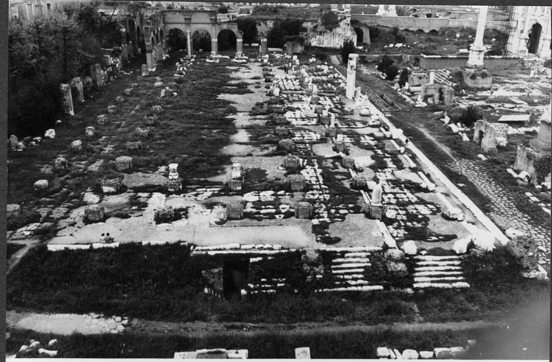 012321 - monumento - Basilica Giulia, vedute, veduta dall'alto delTempio dei Castori (1959); film n. 16, n. 5a