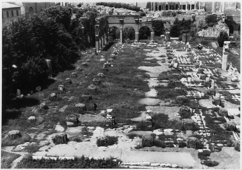012322 - monumento - Basilica Giulia, vedute, veduta dall'alto delTempio dei Castori (1959); film n. 16, n. 6a