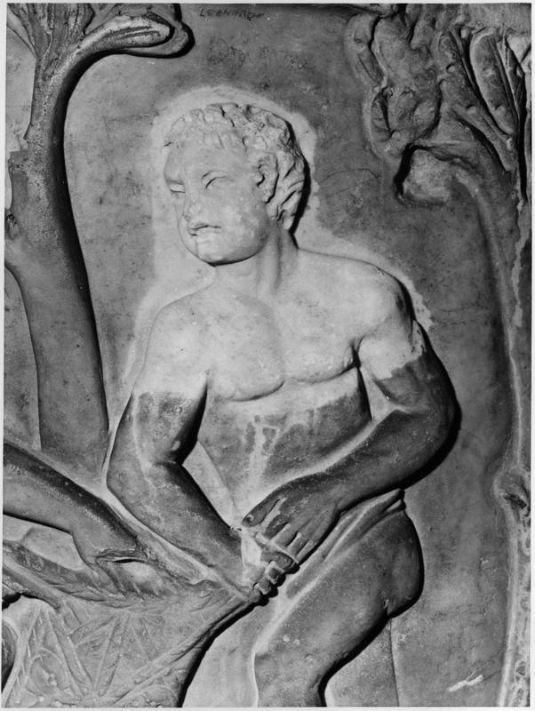 34 FR- SMA- R-asf016518.jpg