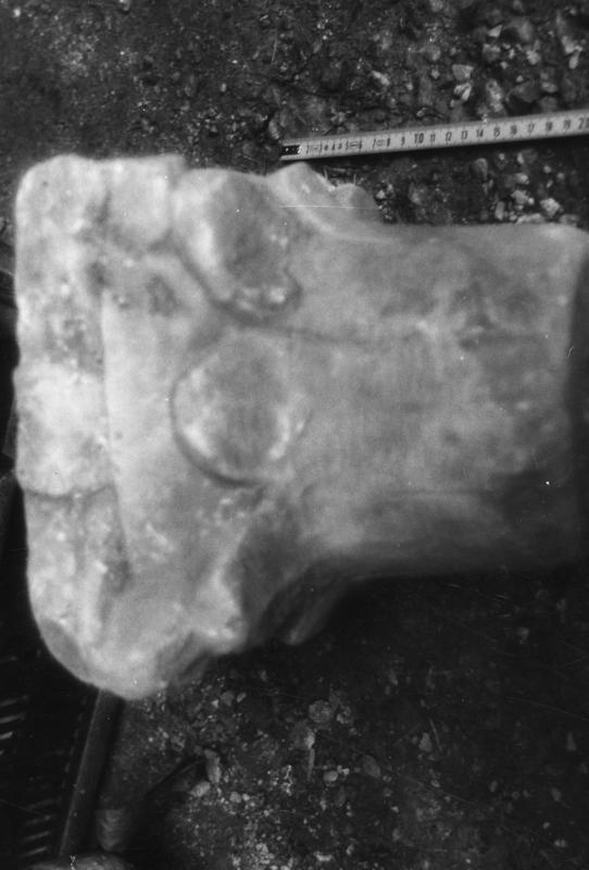 49 FR- SMA- R-asf019399.jpg