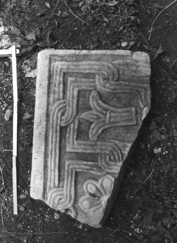 62 FR- SMA- R-asf019452.jpg