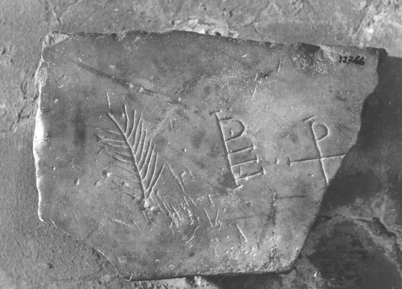 65 FR- SMA- R-asf019462.jpg