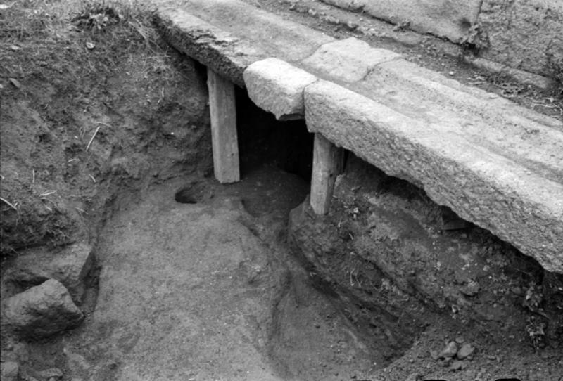 1-00003/ 07645/ 16773 - Roma - Palatino - Germalo