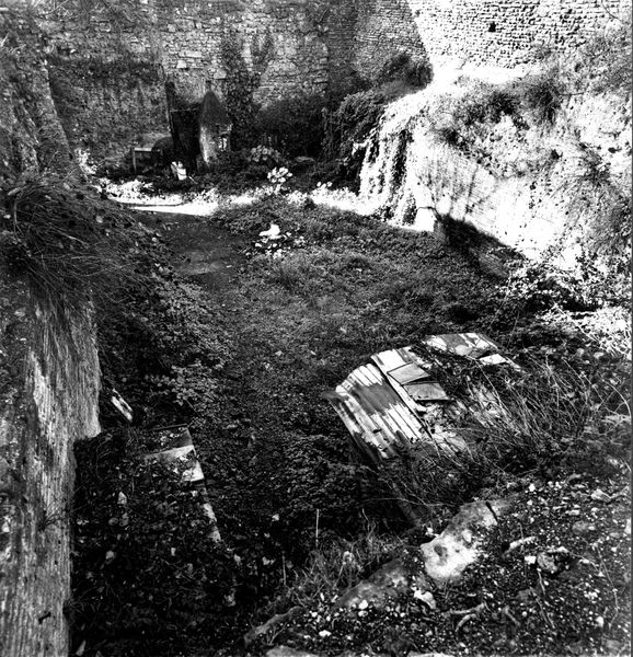 008595 - monumento - Palatino, via dei Cerchi, la cisterna prima del restauro (gennaio 1986); neg. serie film, n. 1638