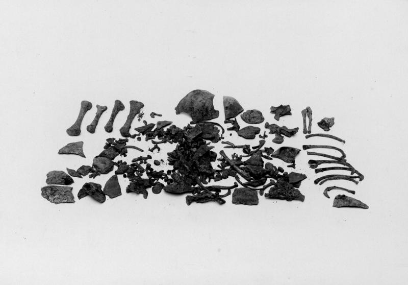 FR-S-T 018-asf014115.jpg
