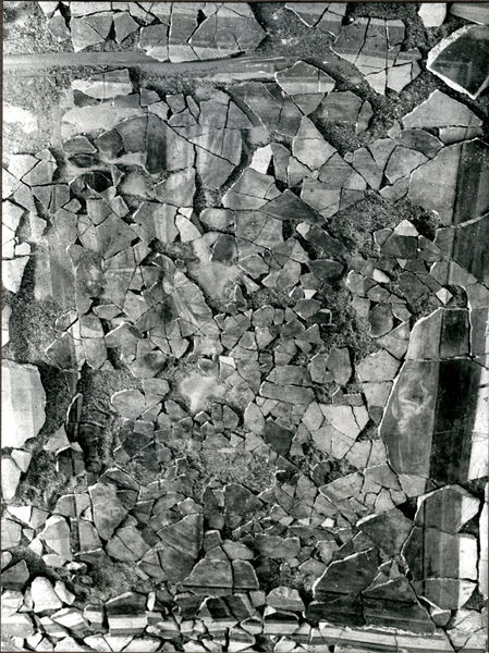 002094 - restauro - Casa di Augusto, "Studiolo di Augusto" c.d., cubicolo superiore, particolare della decorazione della parete meridionale, particolare del pannello centrale: durante il restauro della pittura parietale in secondo stile pompeiano, dopo il distacco, con successiva ricollocazione in situ. Bibliografia: Musatti, G. "Casa di Augusto sul Palatino. L'intervento di restauro e considerazioni sulla decorazione pittorica" in Bollettino d'Arte 2, aprile-giugno 2009 (serie VII) pp. 21 e ss. / Iacopi, I. "Casa di Augusto, le pitture" Electa 2007

Neg. serie Film nÂ° 817