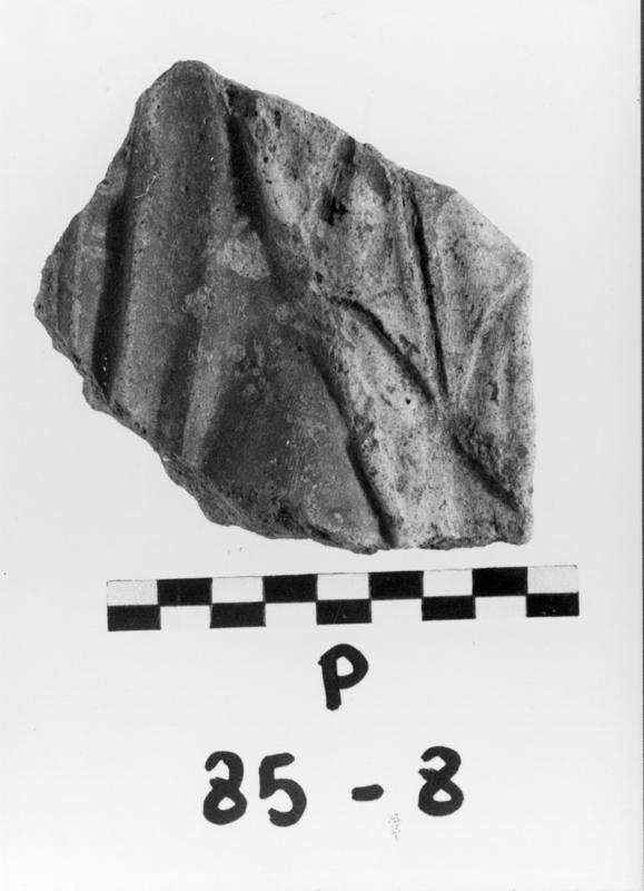 FR-TC-R 13-asf017441.jpg