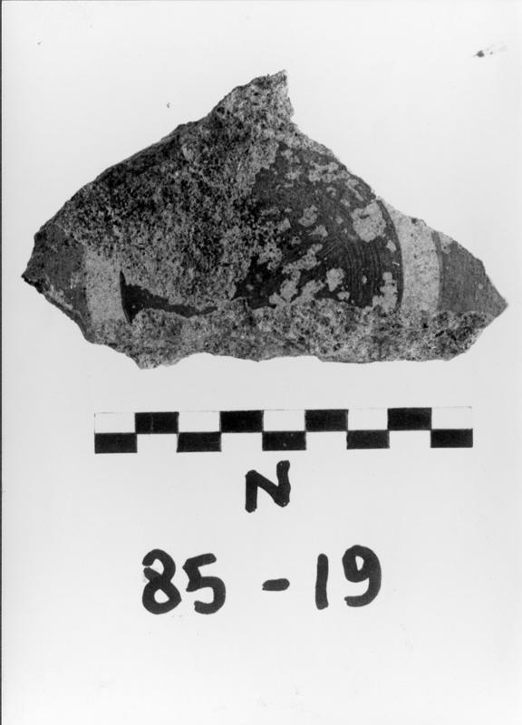 FR-TC-R 2-asf017419.jpg