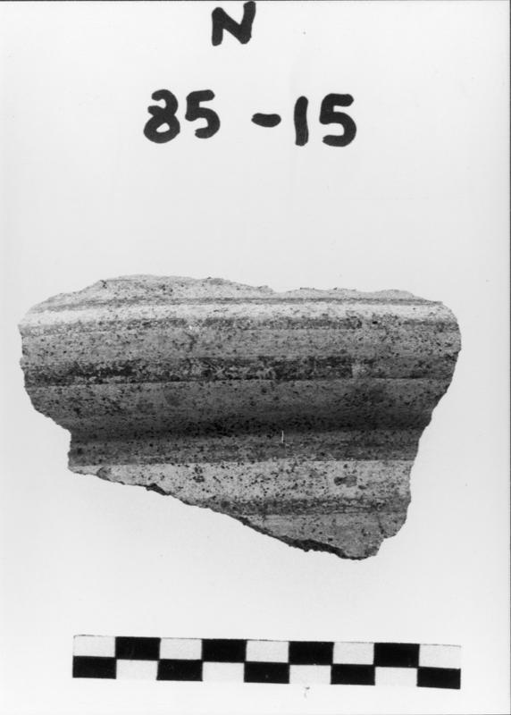 FR-TC-R 4-asf017423.jpg