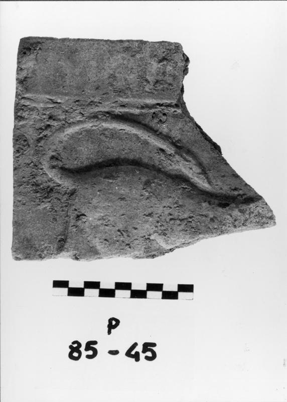 FR-TC-R 5-asf017426.jpg