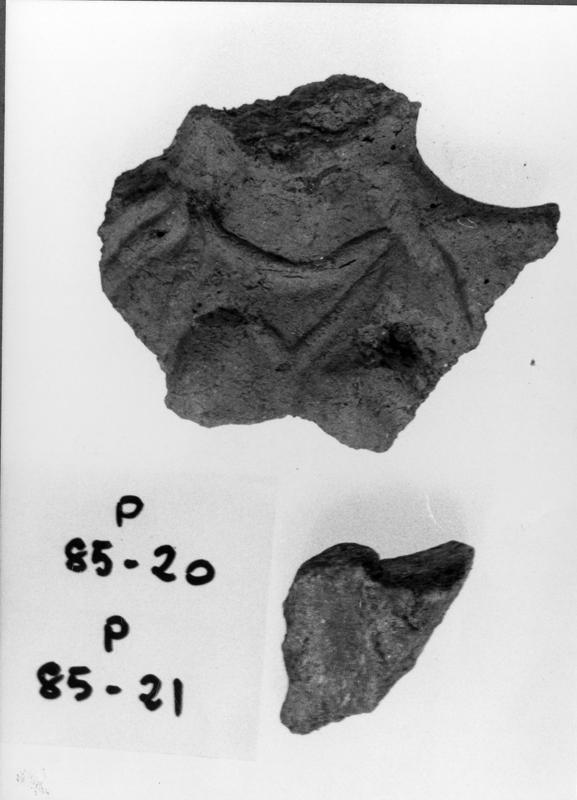 FR-TC-R 8-asf017432.jpg