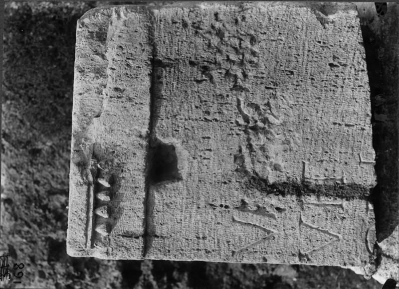 FR-TDG-A 5-asf017684.jpg