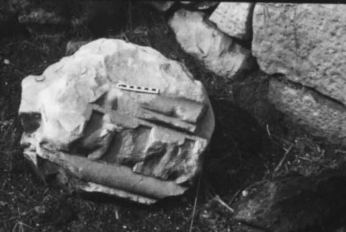 FR-TDG-A 7-asf017721.jpg