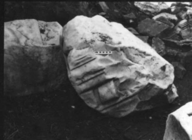 FR-TDG-A 7-asf017731.jpg