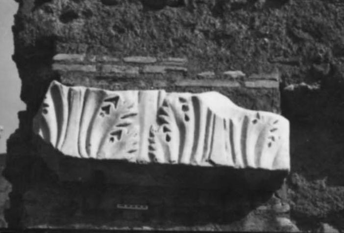 FR-TDG-A 7-asf017736.jpg