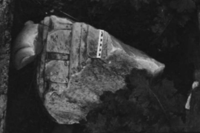 FR-TDG-A 7-asf017752.jpg