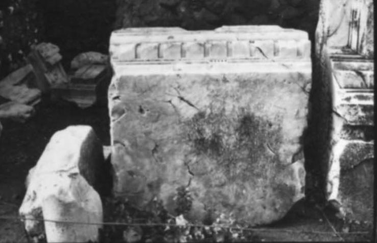 FR-TDG-A 7-asf017755.jpg