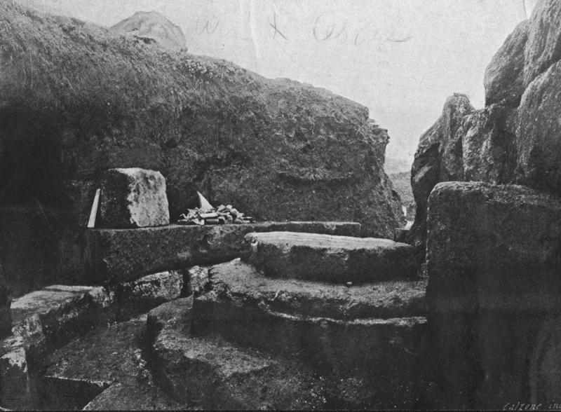 FR-TDG 4-asf017761.jpg