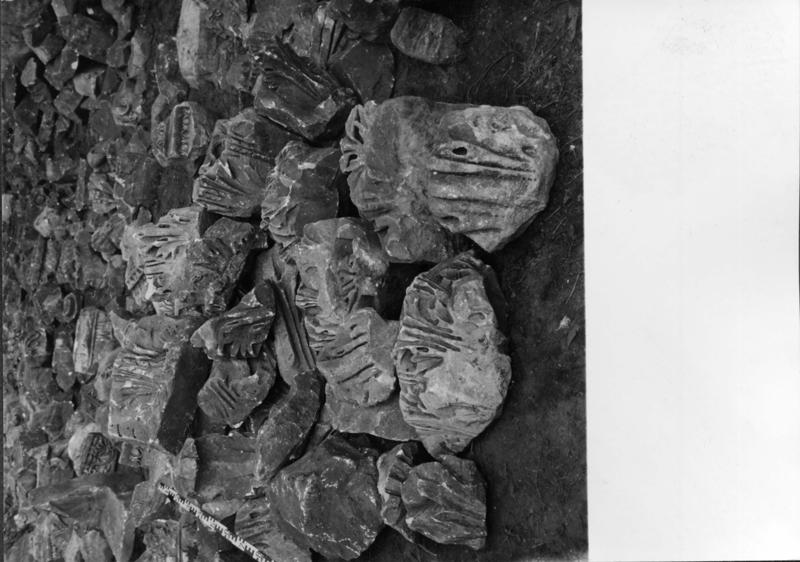 FR-TR-A 21-asf017915.jpg