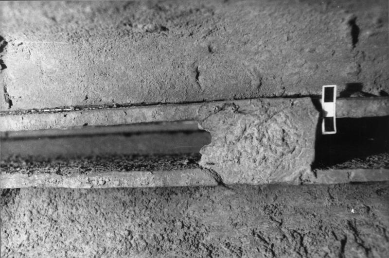 FR-TR-V 12-asf017965.jpg