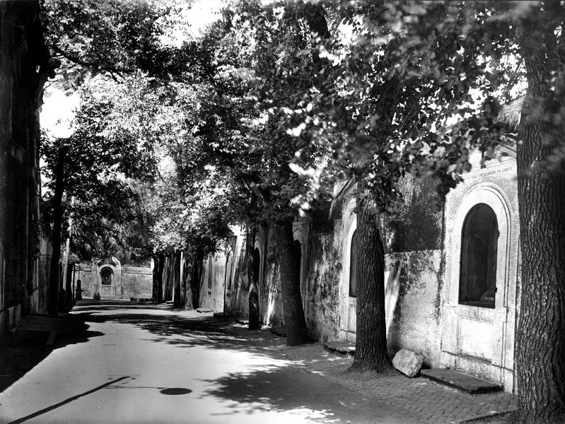 002985 - monumento - Via di S. Bonaventura: Veduta