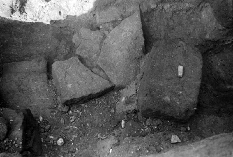 1-00004/ 07646/ 16774 - Roma - Foro Romano - Aula Regia