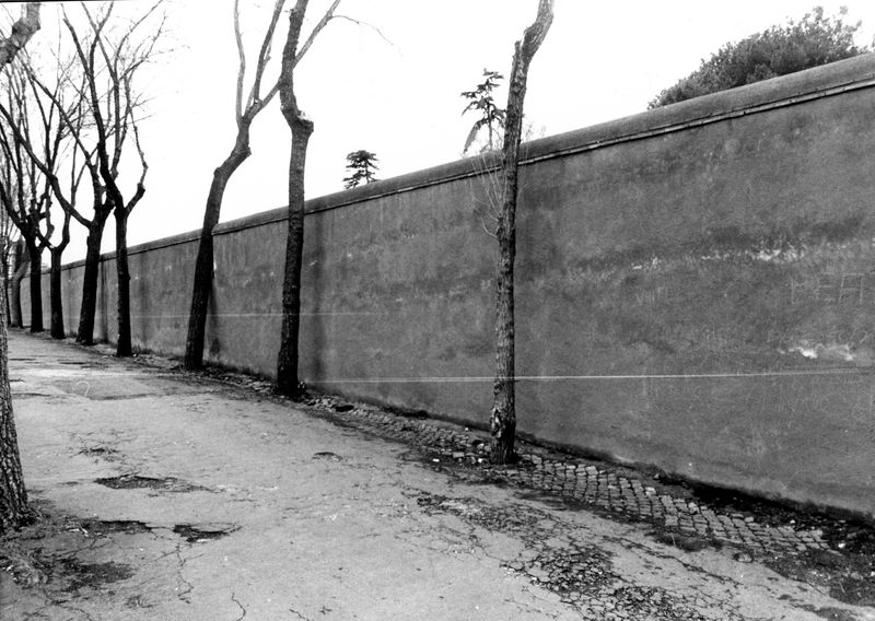 002994 - monumento - Via di S. Bonaventura: muro di recinzione