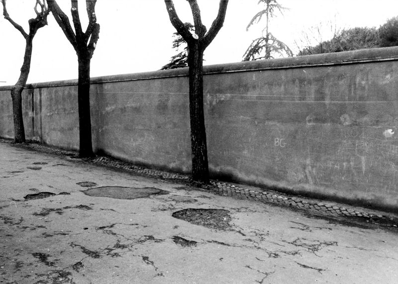 002995 - monumento - Via di S. Bonaventura: muro di recinzione