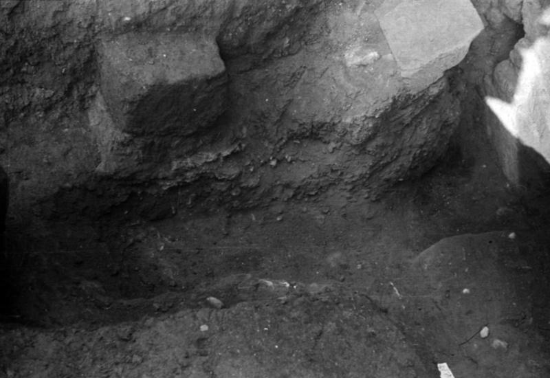 1-00004/ 07646/ 16774 - Roma - Foro Romano - Aula Regia