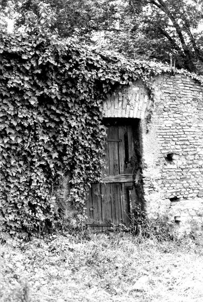 003006 - monumento - Via di S. Bonaventura: porta di vigna barberini, luglio 1984