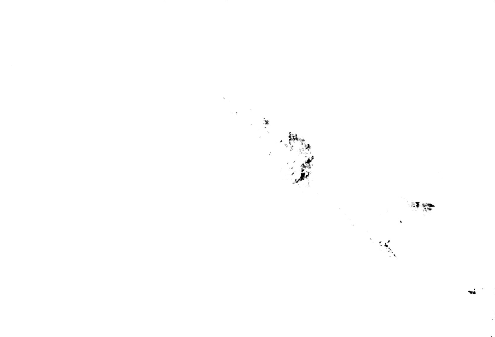 35mm-N_1-00001-13_000012.tif