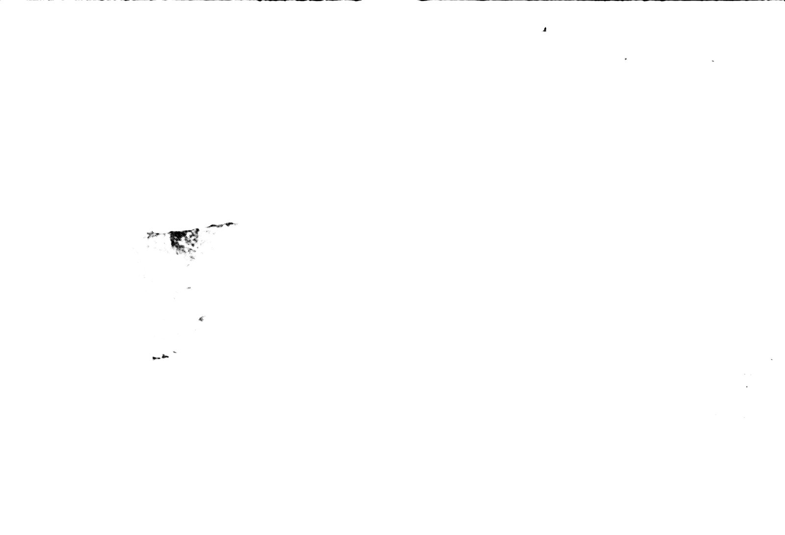 35mm-N_1-00001-39_000038.tif