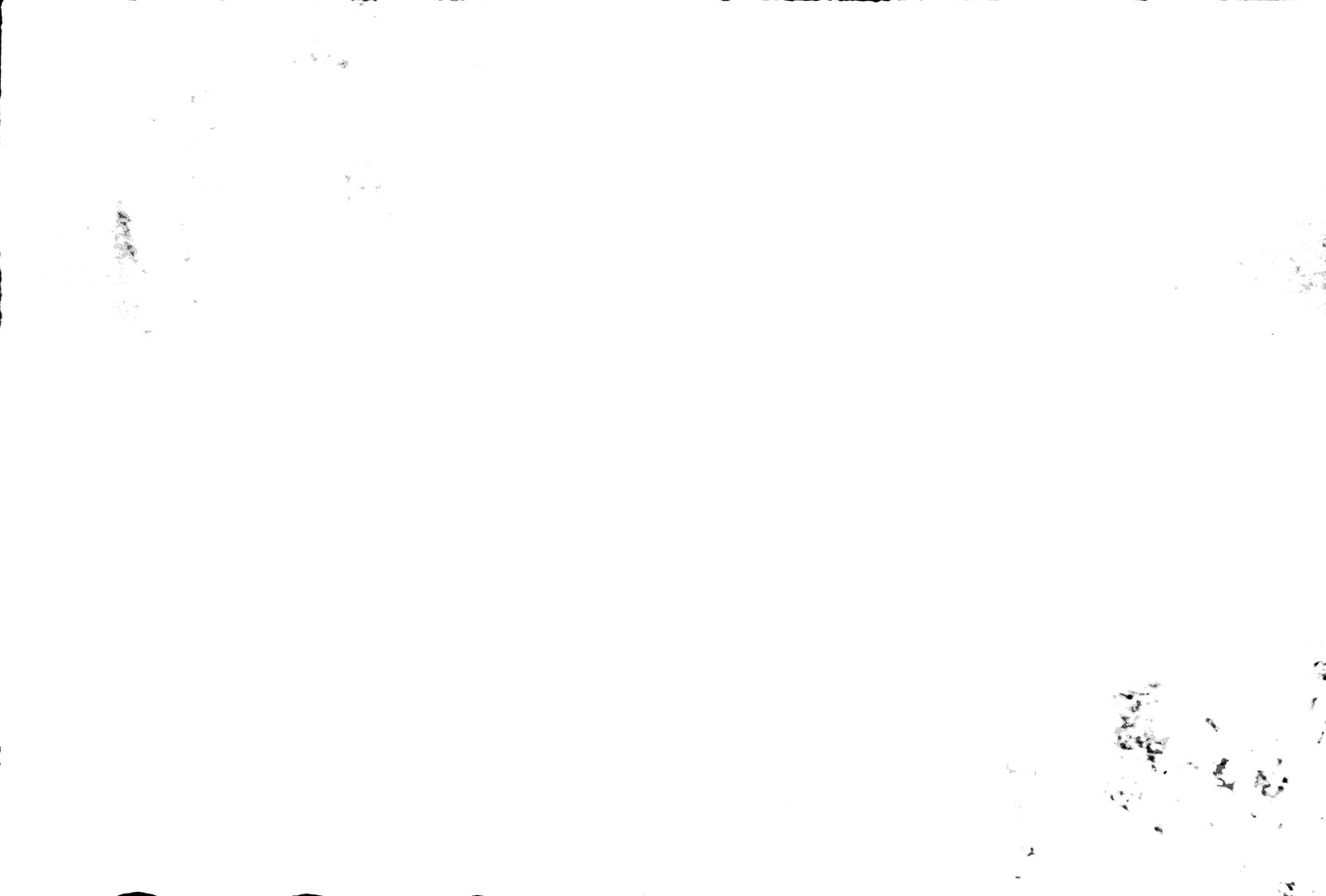 35mm-N_1-00001-99_000041.tif