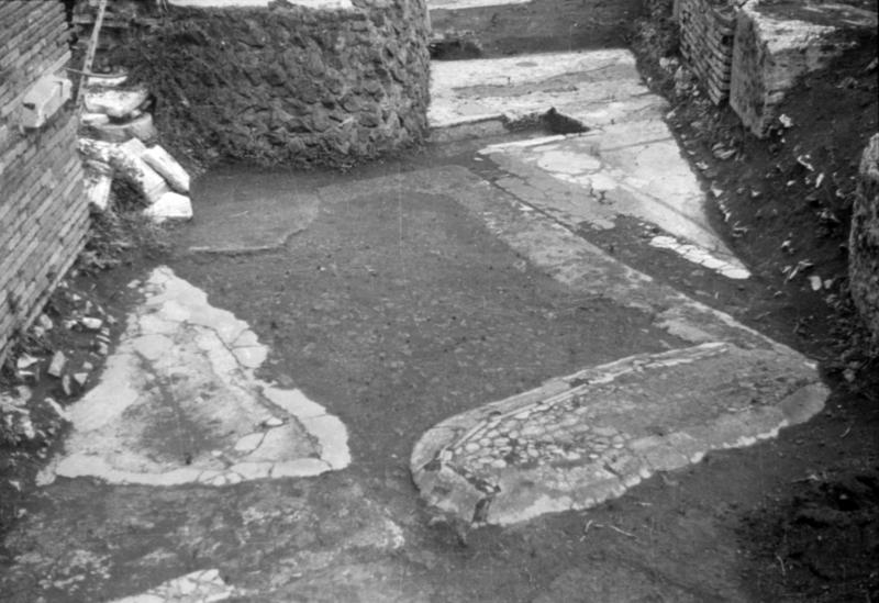 1-00004/ 07646/ 16774 - Roma - Foro Romano - Casa delle Vestali