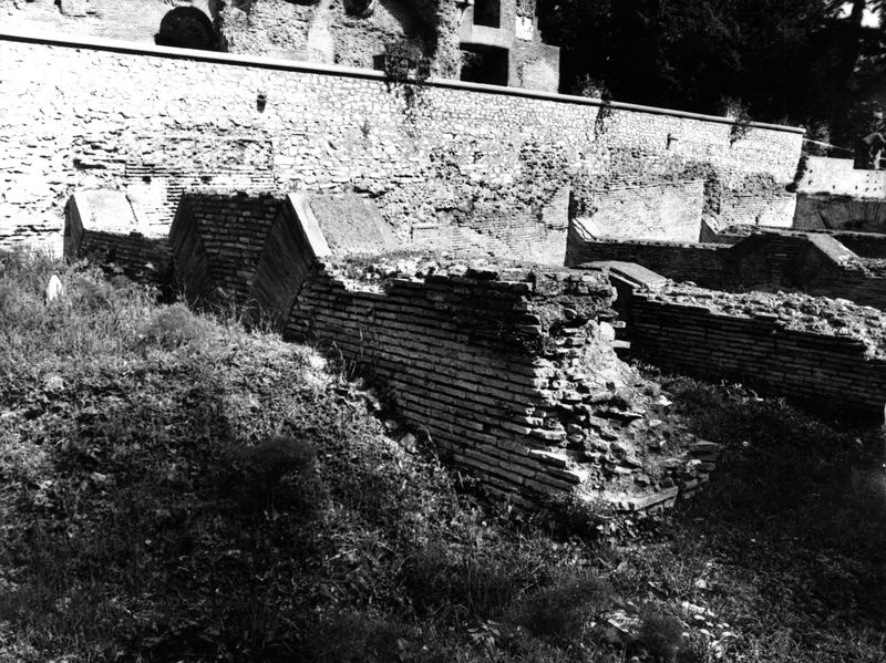 000219 - monumento - Clivio Palatino, ambiente A1: ricognizione 1983