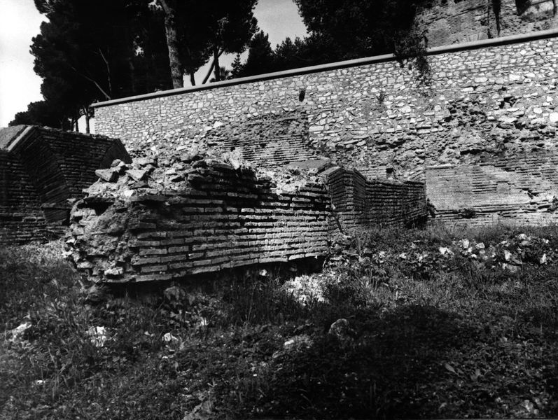002611 - monumento - Clivio Palatino, ambiente B: ricognizione 1983