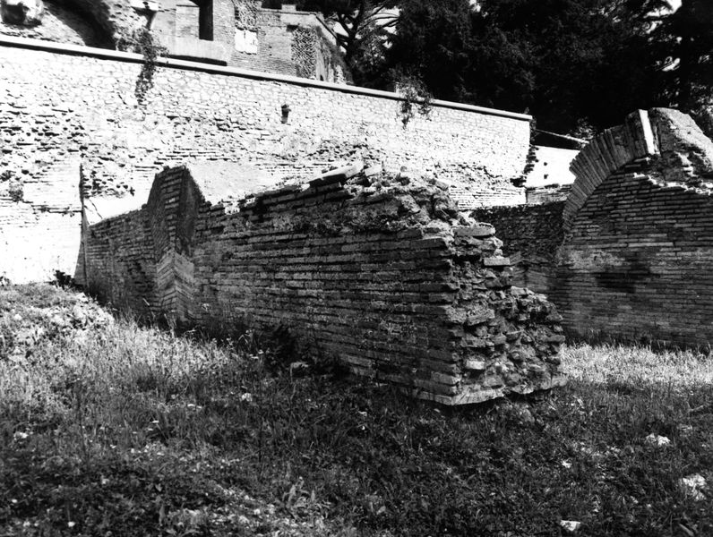 002612 - monumento - Clivio Palatino, ambiente B: ricognizione 1983