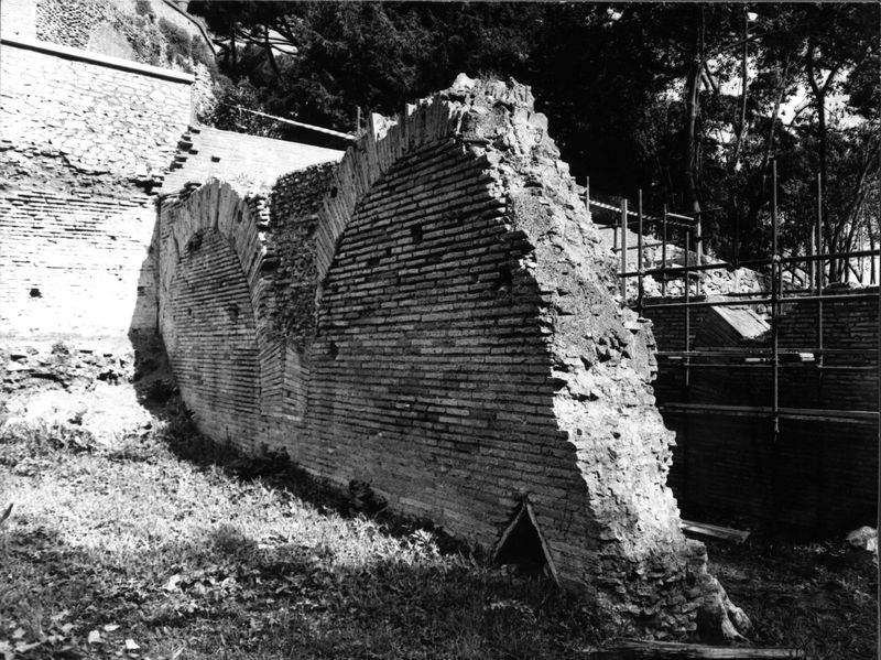 005556 - monumento - Clivio Palatino, ambiente D: ricognizione 1983