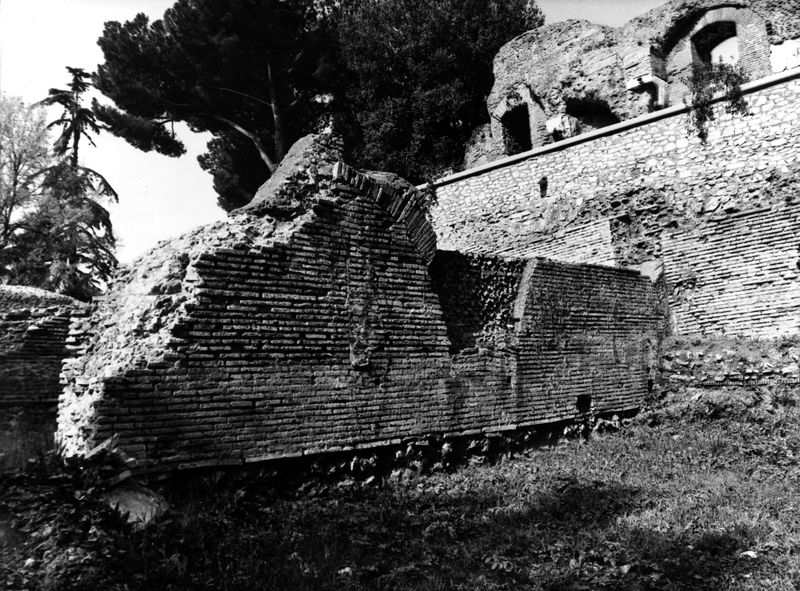 005557 - monumento - Clivio Palatino, ambiente D: ricognizione 1983
