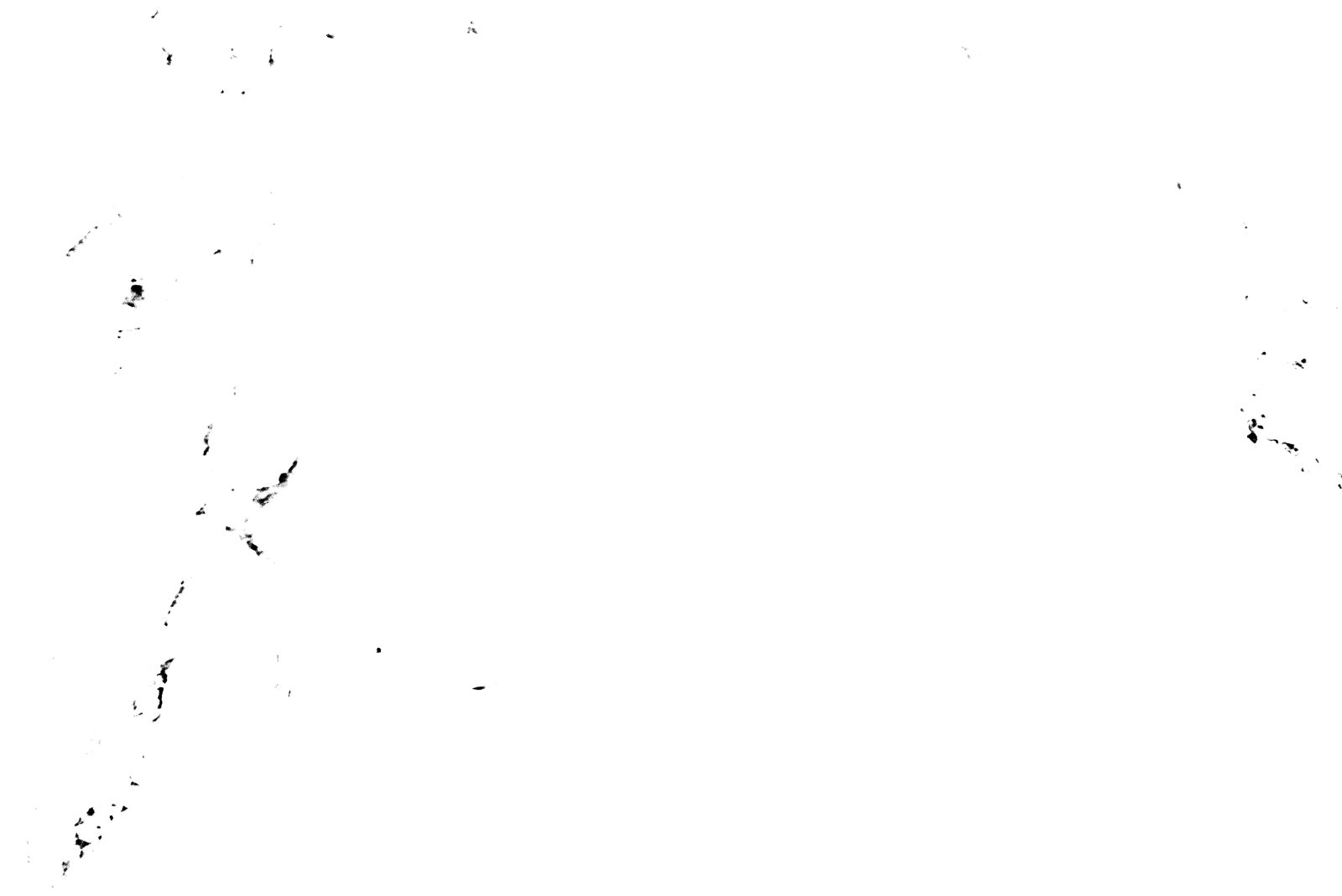 35mm-N_1-00007-27A_000202.tif