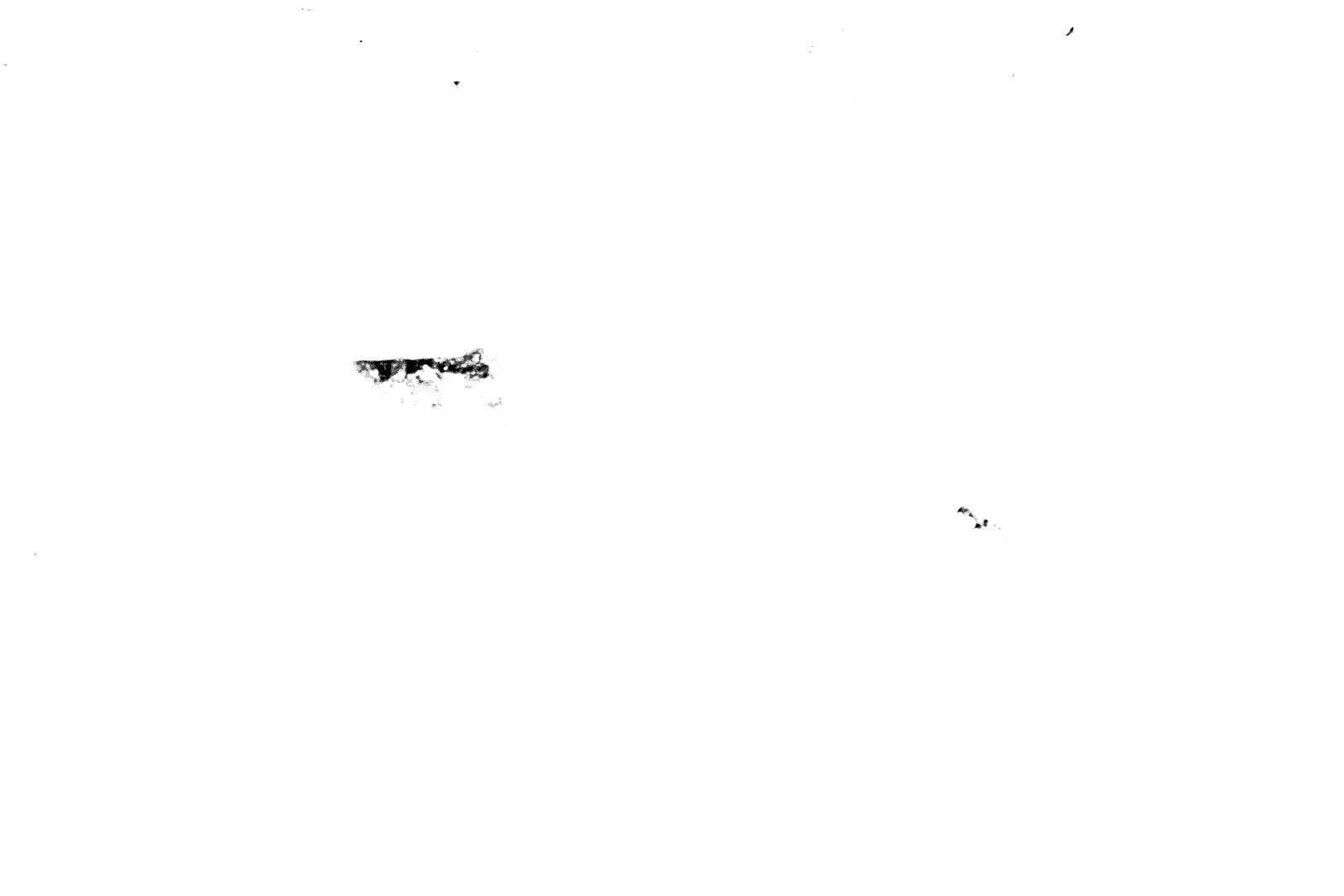 35mm-N_1-00009-11_000241.tif