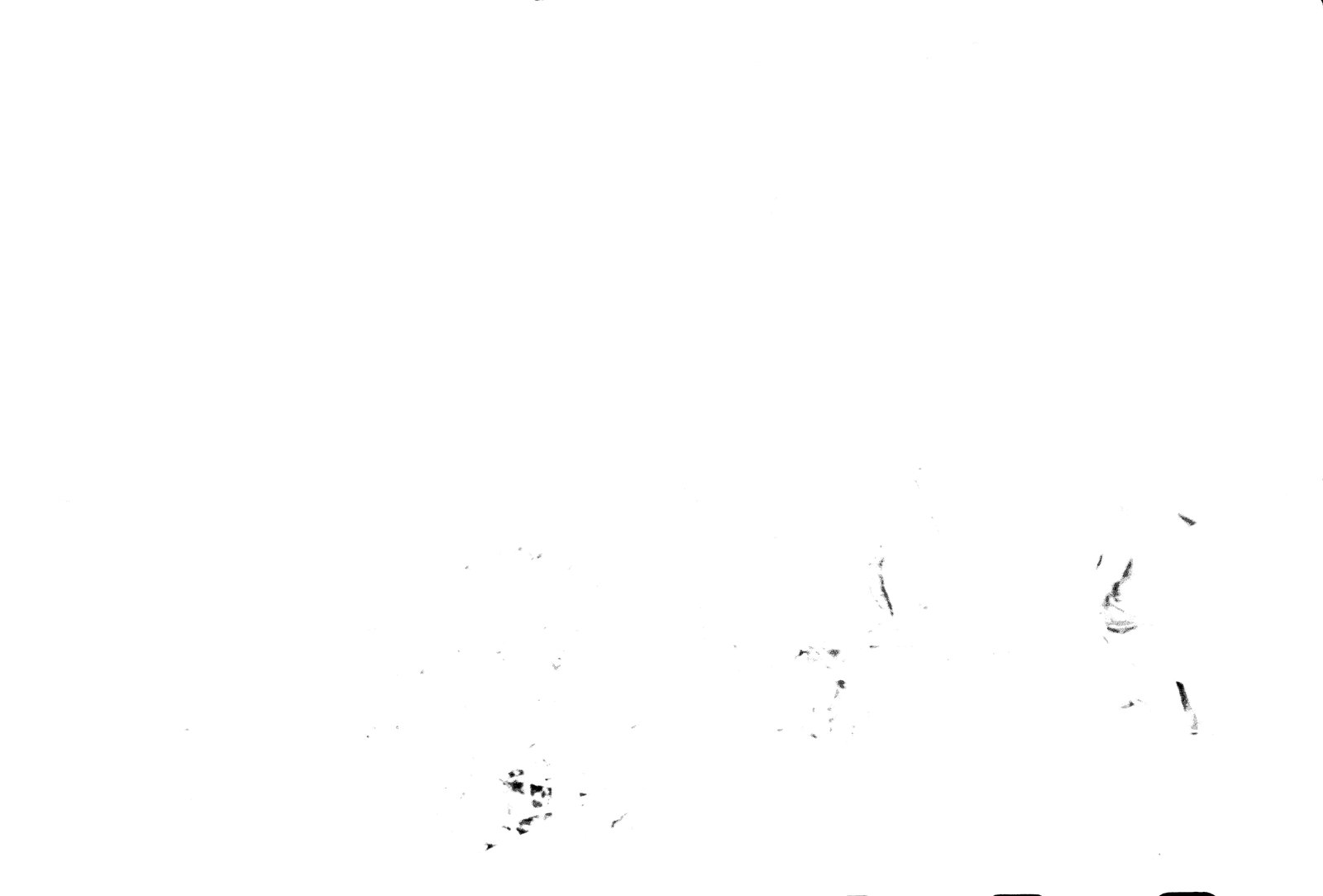 35mm-N_1-00009-37A_000251.tif