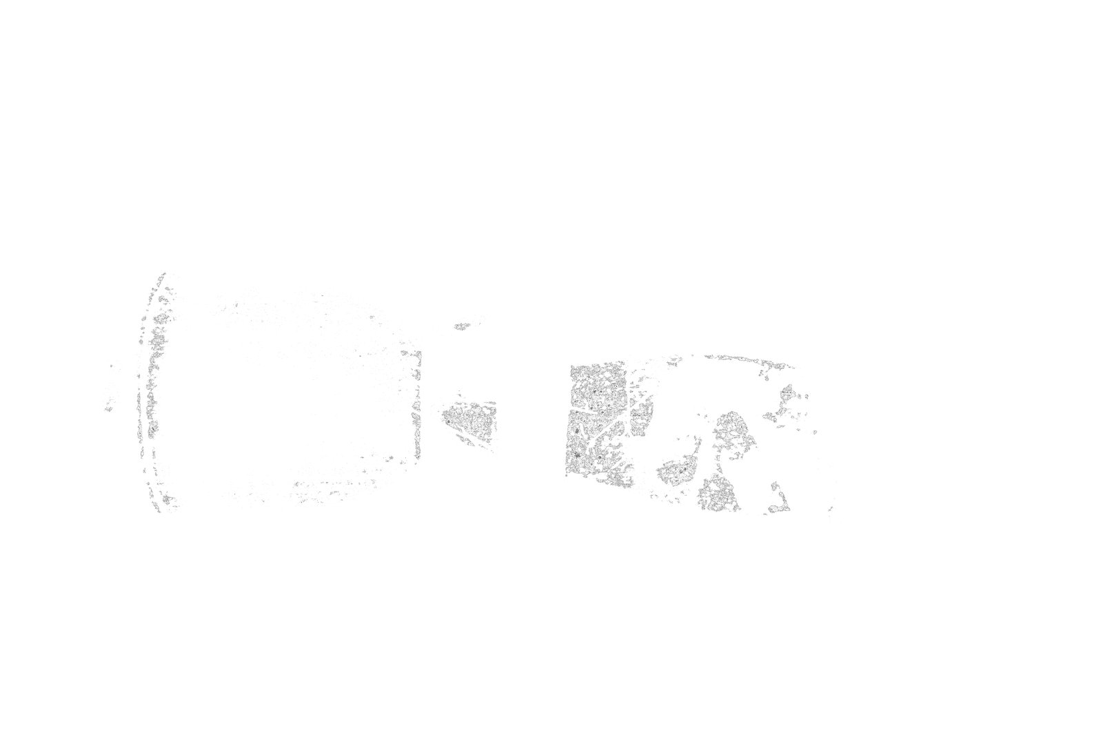 35mm-N_1-00010-01_000296.tif