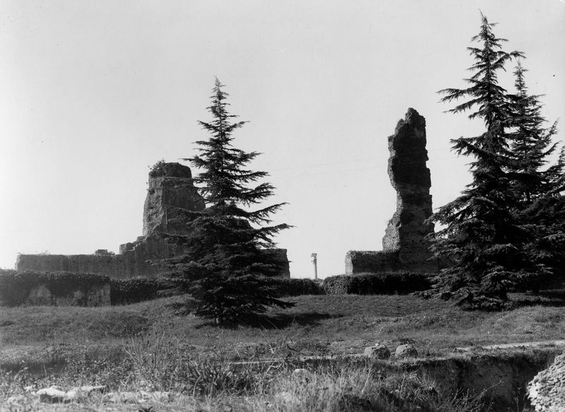 005627 - monumento - Clivio Palatino: veduta ottobre 1929