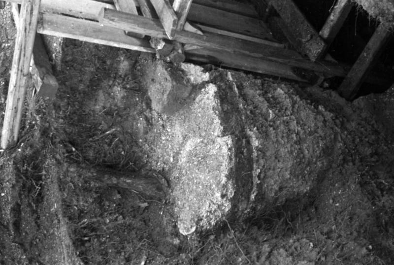 1-00004/ 07646/ 16774 - Roma - Foro Romano - Casa delle Vestali