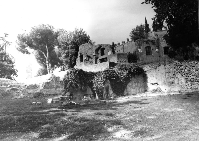 005633 - monumento - Clivio Palatino: ricognizione 1982