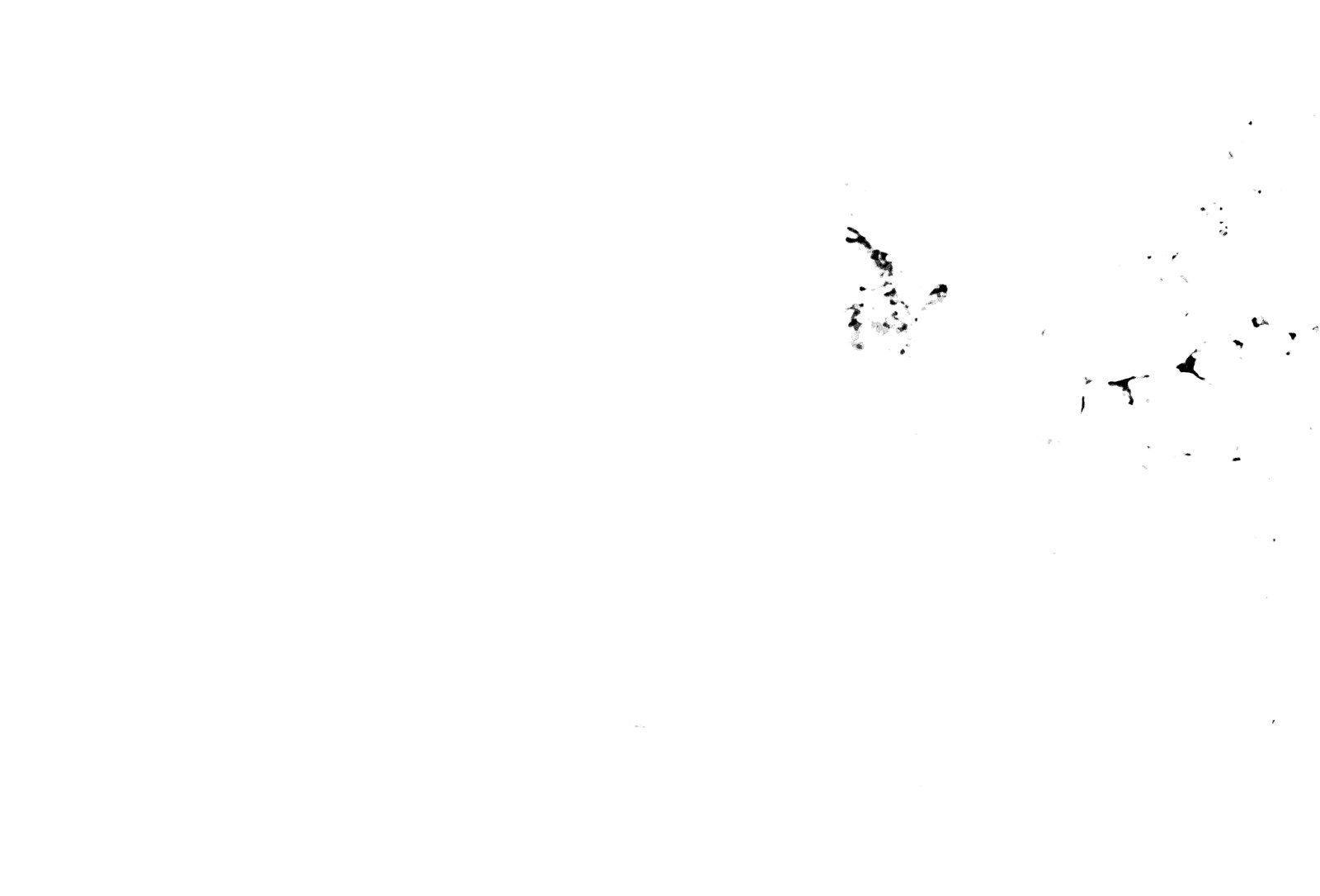 35mm-N_1-00011-01_000334.tif