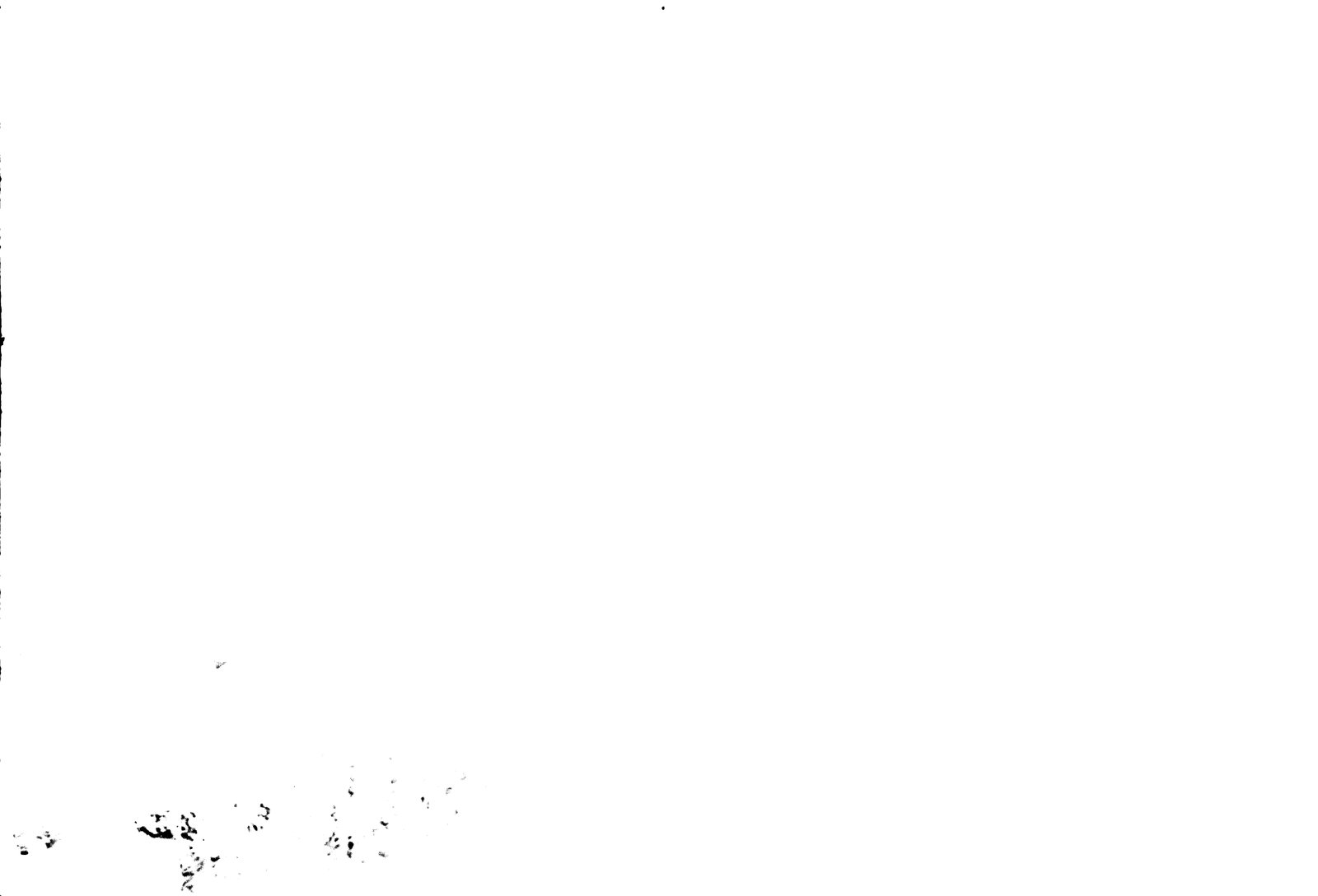 35mm-N_1-00011-16A_000303.tif