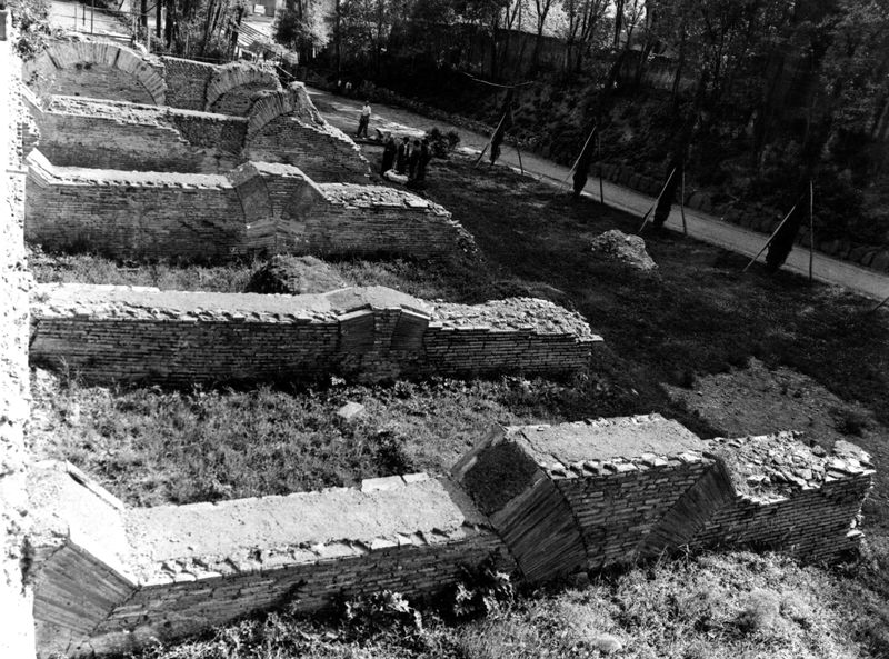 005635 - monumento - Clivio Palatino: ricognizione 1983
